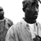 International Hip-Hop/Rap 24