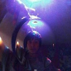 Felipin Vcr