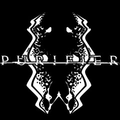 Purifier