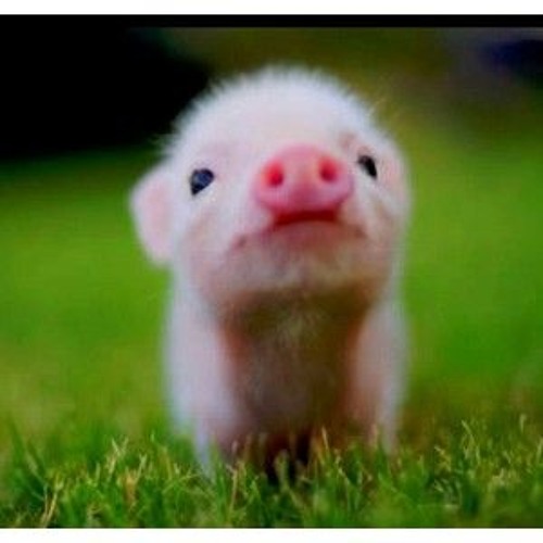 AFROBEAT INSTRUMENTAL - MAGICAL GIRL.mp3