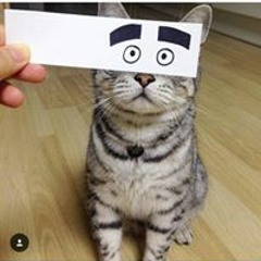pesauuuu