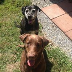 Lori Stotelmyer-Gilbert