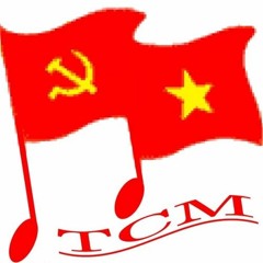 Ban Chuyên Môn TCM