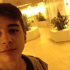 Michi Leidl
