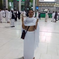 محمود العمريطي