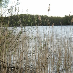 Joerg H.