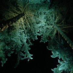 The Cubic Fjord