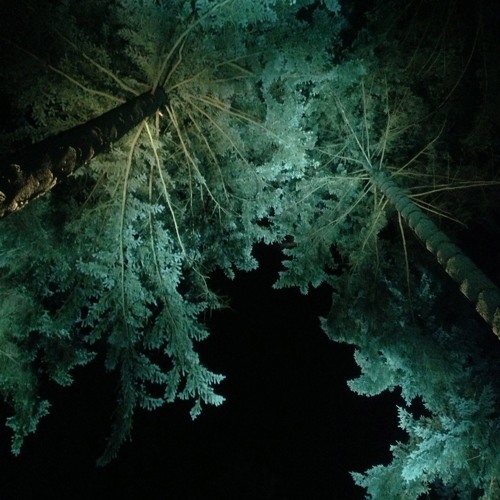 Can you ID this EP/Mini-LP...?