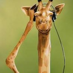 Giraffain P