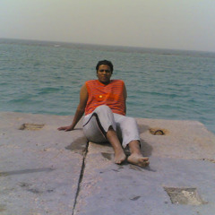 mohamed magdy