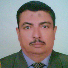 عبد الفتاح هريدى