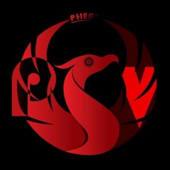 GROUPE PHENIX VISION