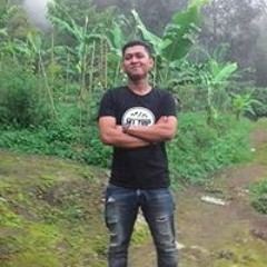 Inoe Dejavu Ladiestnight