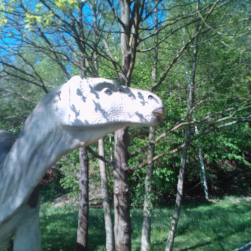 Un Elephant Qui Se Balancait