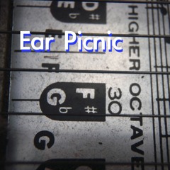 earpicnic