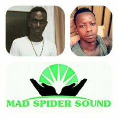 MAD SPIDER SOUND
