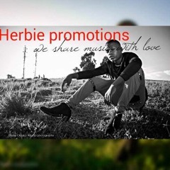 Herbie King Promotions