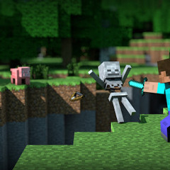 Minecraft Boy