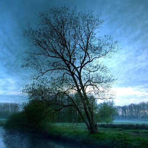 Show Must Go On - Queen