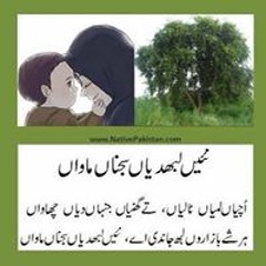 Dastan - E-shujat By Mohammad Raza Mungla