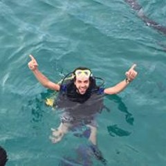 Ali Ghaly