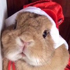 Than chu Bo Tat Dia Tang