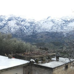 Stavroulakis Manolis