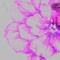 marirosamusic