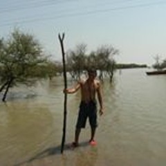 Sherif Hossam Sultan