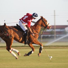 Justin Eckbo Daniels