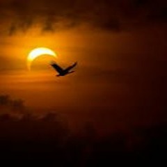 Eclipse3