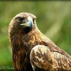 User 120107848