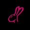PINK rabbit