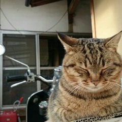 戸田健太郎