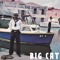 Big Cat