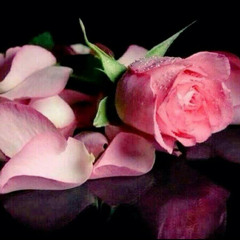 ‫رجل حساس‬‎