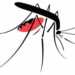 Mosquito Gonzalez