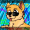 Doge Life
