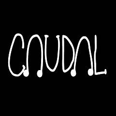 CAUDAL ESTUDIO