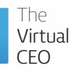 Virtual CEO Lifestyle