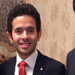 Ahmed A.Haleem