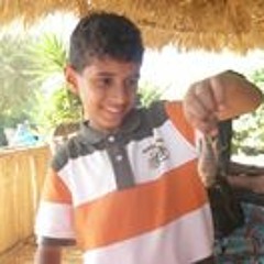 samy sameh