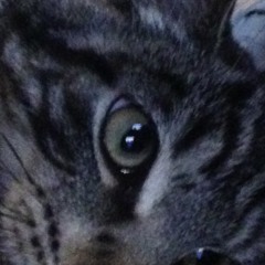 BARRY LONG THE STRONG