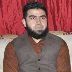 ali kashmiri