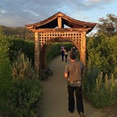 Alex Andres Sahagun ॐ