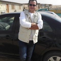 Hany Mahmoud Elsayed