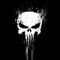 ThePunisher37