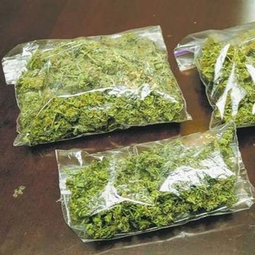 Let me hit it - Sporty O