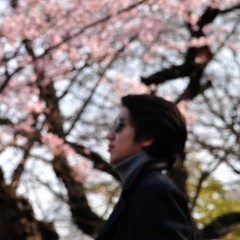 Art F. Dalumpines III