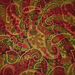 The Paisley Vibe
